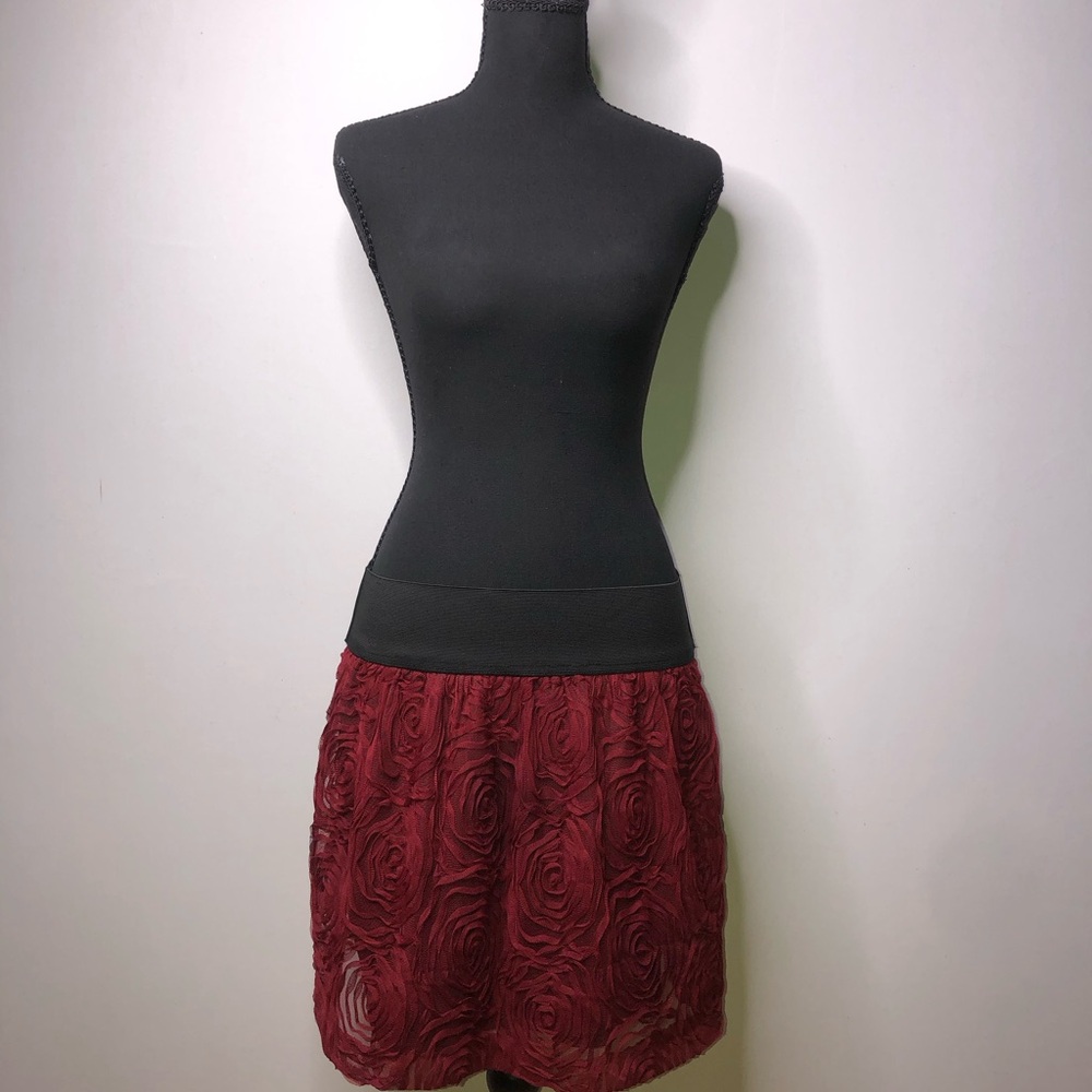 Stooshy Red Rose Mini Medium Skirt